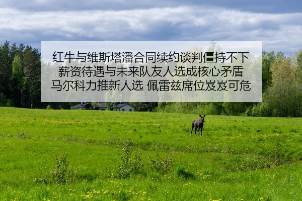 hong-niu-yu-wei-si-ta-pan-he-tong-xu-yue-tan-pan-jiang-chi-bu-xia-xin-zi-dai-yu-yu-wei-lai-dui-you-ren-xuan-cheng-he-2-613.jpg