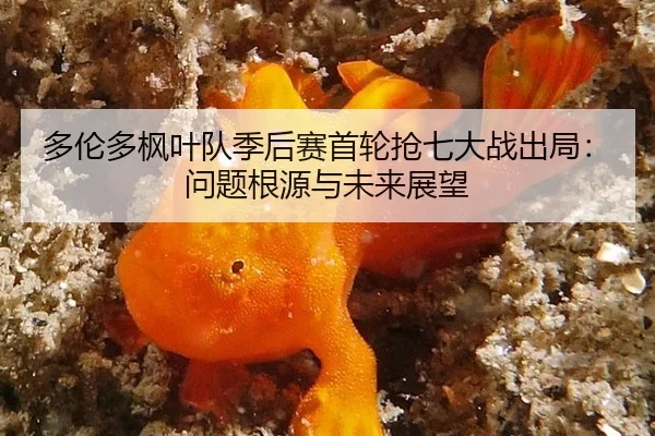 多伦多枫叶队季后赛首轮抢七大战出局：问题根源与未来展望